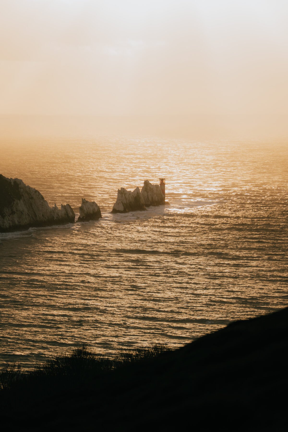 Evening Gold