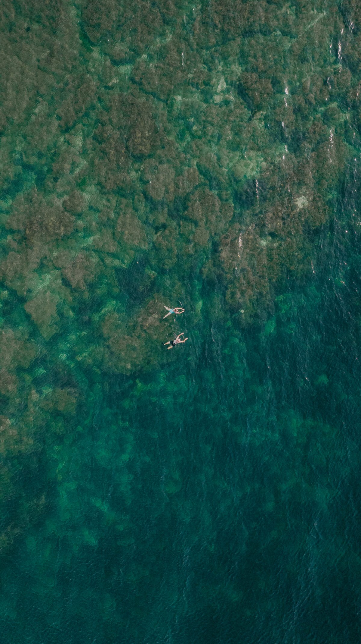 Two Swimmers